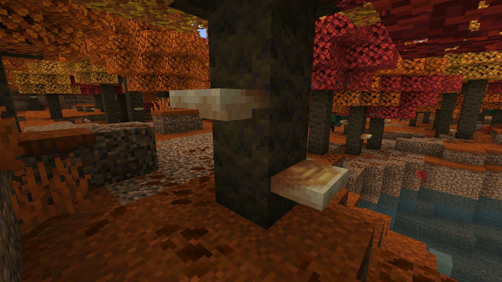 Гриб из Minecraft 26.51 Гриб из Майнкрафт 26.51