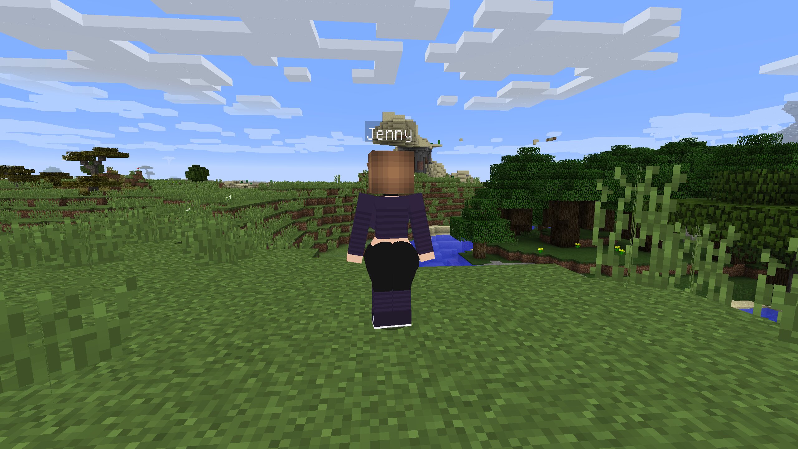 Скачать Мод на Дженни для Minecraft Java